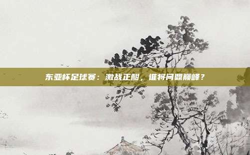 东亚杯足球赛:激战正酣,谁将问鼎巅峰?