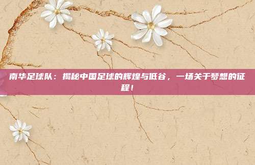 南华足球队：揭秘中国足球的辉煌与低谷，一场关于梦想的征程！