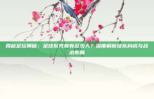 揭秘足坛奥秘：足球队究竟有多少人？深度解析球队构成与战术布局