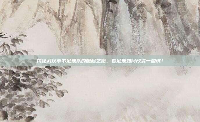 揭秘武汉卓尔足球队的崛起之路,看足球如何改变一座城!