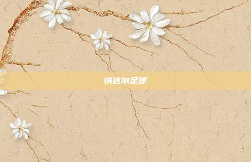 纳达尔足球