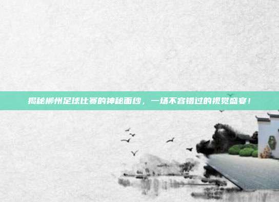 揭秘郴州足球比赛的神秘面纱，一场不容错过的视觉盛宴！
