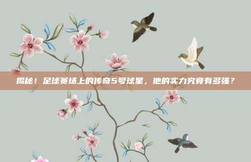 揭秘!足球赛场上的传奇5号球星,他的实力究竟有多强?