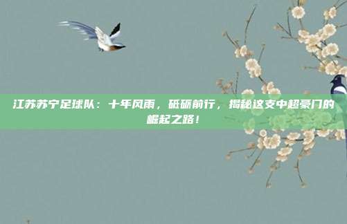 江苏苏宁足球队：十年风雨，砥砺前行，揭秘这支中超豪门的崛起之路！