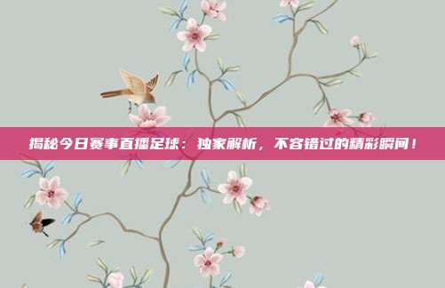 揭秘今日赛事直播足球:独家解析,不容错过的精彩瞬间!
