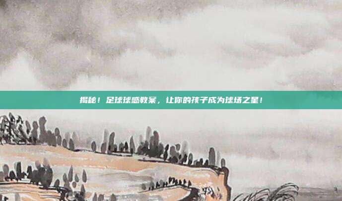 揭秘！足球球感教案，让你的孩子成为球场之星！