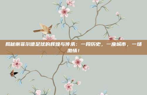 揭秘谢菲尔德足球的辉煌与传承：一段历史，一座城市，一场激情！
