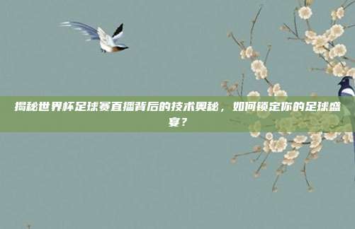 揭秘世界杯足球赛直播背后的技术奥秘，如何锁定你的足球盛宴？