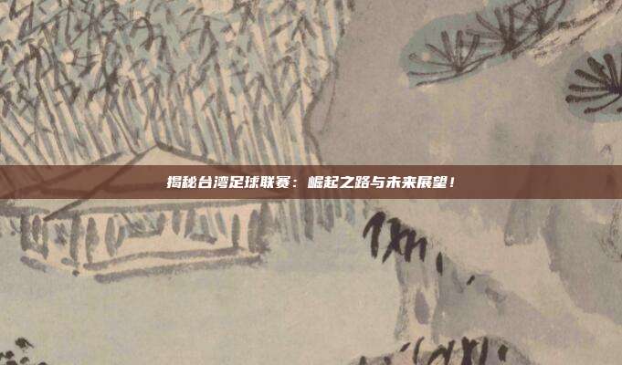 揭秘台湾足球联赛：崛起之路与未来展望！