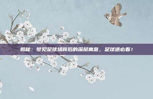 揭秘：梦见足球场背后的深层寓意，足球迷必看！