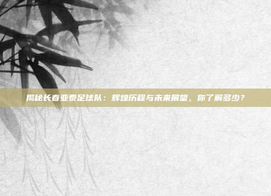 揭秘长春亚泰足球队：辉煌历程与未来展望，你了解多少？