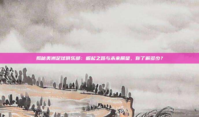 揭秘美洲足球俱乐部:崛起之路与未来展望,你了解多少?
