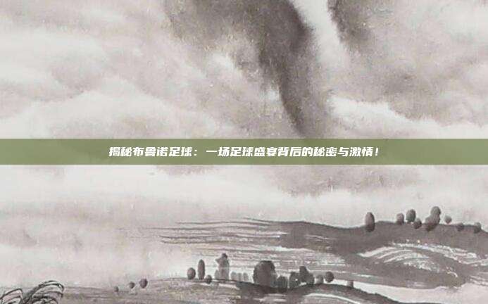 揭秘布鲁诺足球：一场足球盛宴背后的秘密与激情！