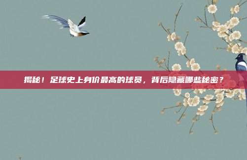 揭秘!足球史上身价最高的球员,背后隐藏哪些秘密?