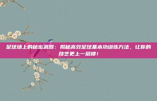 足球场上的秘密武器：揭秘高效足球基本功训练方法，让你的技艺更上一层楼！