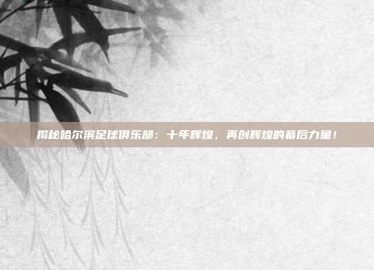 揭秘哈尔滨足球俱乐部：十年辉煌，再创辉煌的幕后力量！