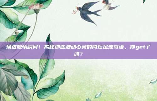 场边激情瞬间!揭秘那些触动心灵的简短足球寄语,你get了吗?