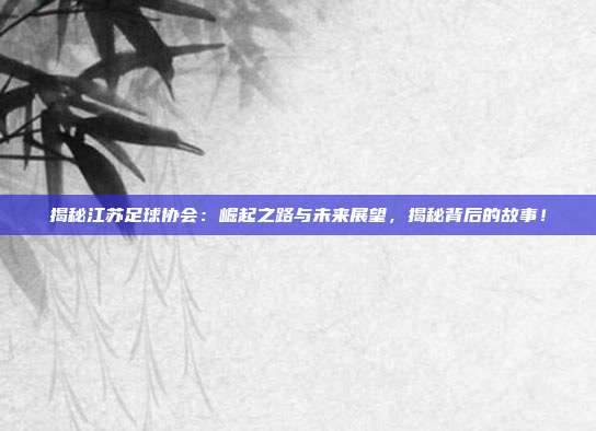 揭秘江苏足球协会：崛起之路与未来展望，揭秘背后的故事！