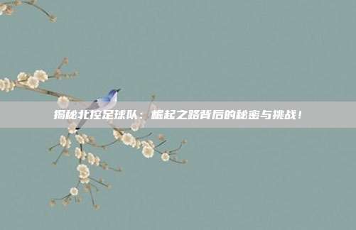 揭秘北控足球队:崛起之路背后的秘密与挑战!
