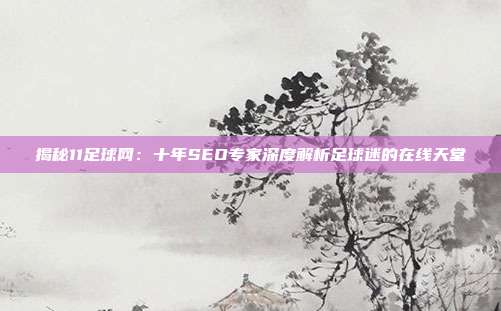 揭秘11足球网:十年SEO专家深度解析足球迷的在线天堂