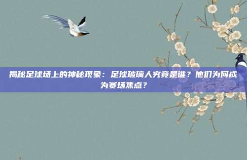 揭秘足球场上的神秘现象:足球玻璃人究竟是谁?他们为何成为赛场焦点?