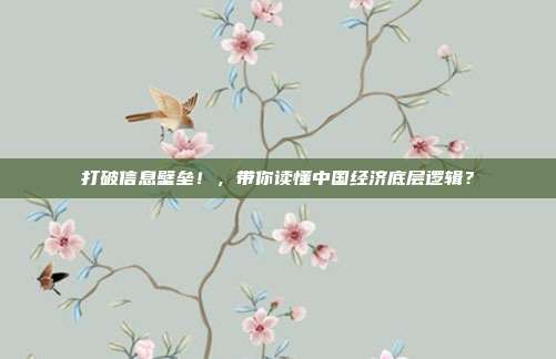 打破信息壁垒！，带你读懂中国经济底层逻辑？