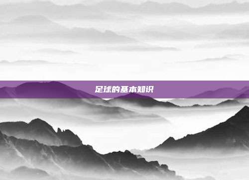 足球的基本知识