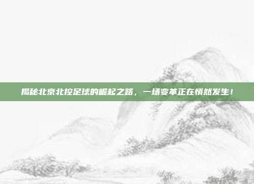 揭秘北京北控足球的崛起之路,一场变革正在悄然发生!
