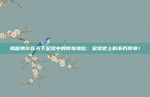 揭秘劳尔在天下足球中的传奇地位:足球史上的不朽传奇!