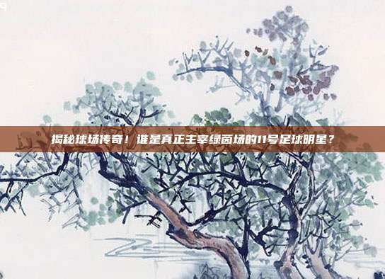 揭秘球场传奇!谁是真正主宰绿茵场的11号足球明星?