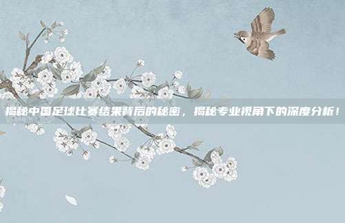 揭秘中国足球比赛结果背后的秘密，揭秘专业视角下的深度分析！