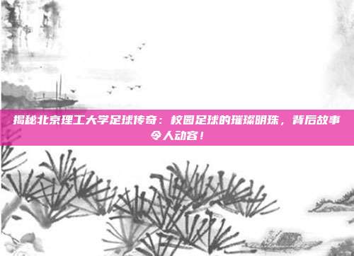 揭秘北京理工大学足球传奇:校园足球的璀璨明珠,背后故事令人动容!