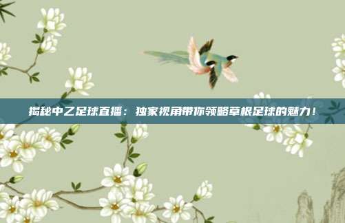 揭秘中乙足球直播：独家视角带你领略草根足球的魅力！