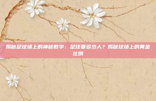 揭秘足球场上的神秘数字：足球要多少人？揭秘球场上的黄金比例