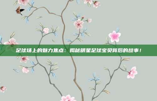 足球场上的魅力焦点：揭秘明星足球宝贝背后的故事！