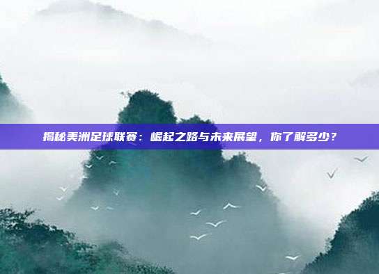 揭秘美洲足球联赛：崛起之路与未来展望，你了解多少？