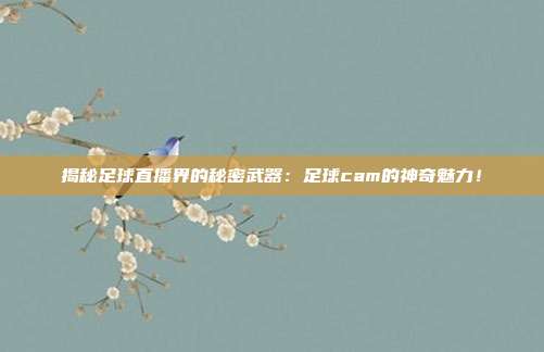 揭秘足球直播界的秘密武器：足球cam的神奇魅力！