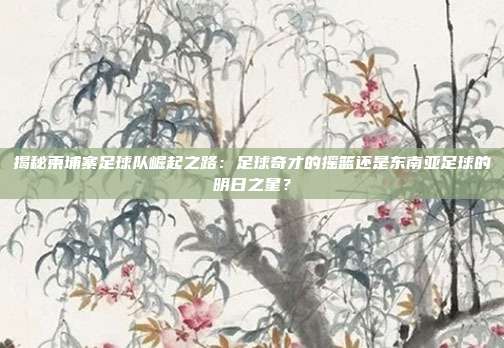 揭秘柬埔寨足球队崛起之路：足球奇才的摇篮还是东南亚足球的明日之星？