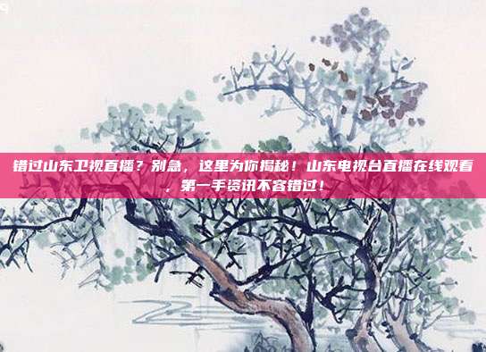 错过山东卫视直播？别急，这里为你揭秘！山东电视台直播在线观看，第一手资讯不容错过！
