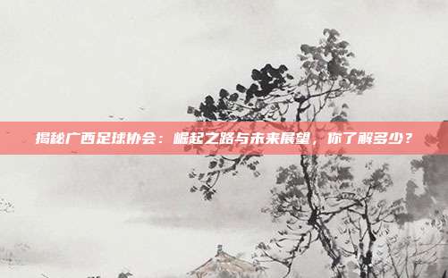 揭秘广西足球协会：崛起之路与未来展望，你了解多少？