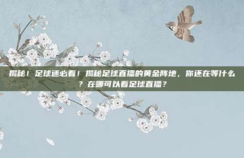 揭秘！足球迷必看！揭秘足球直播的黄金阵地，你还在等什么？在哪可以看足球直播？