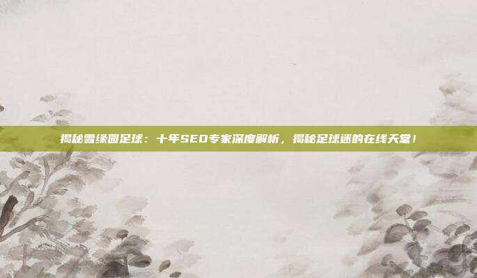 揭秘雪缘园足球：十年SEO专家深度解析，揭秘足球迷的在线天堂！