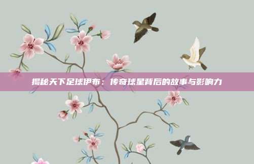 揭秘天下足球伊布:传奇球星背后的故事与影响力