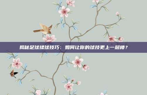 揭秘足球揉球技巧：如何让你的球技更上一层楼？