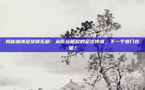 揭秘湘涛足球俱乐部：从低谷崛起的足球传奇，下一个豪门在望？