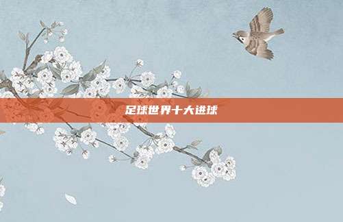 足球世界十大进球