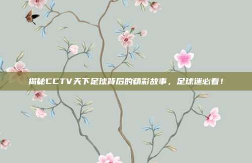 揭秘CCTV天下足球背后的精彩故事，足球迷必看！