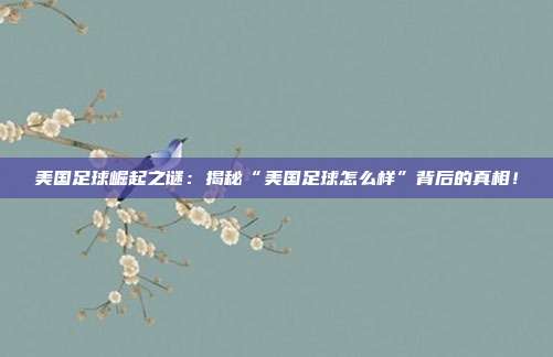 美国足球崛起之谜：揭秘“美国足球怎么样”背后的真相！