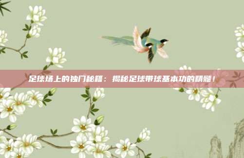 足球场上的独门秘籍:揭秘足球带球基本功的精髓!
