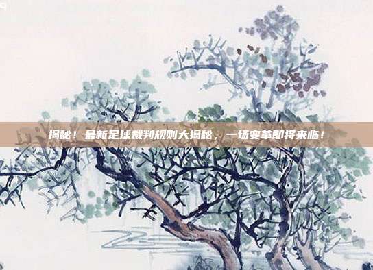 揭秘！最新足球裁判规则大揭秘，一场变革即将来临！